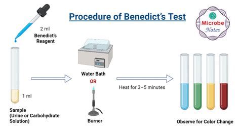 Benedict’s Test- Principle, Procedure, Steps, Results, Uses