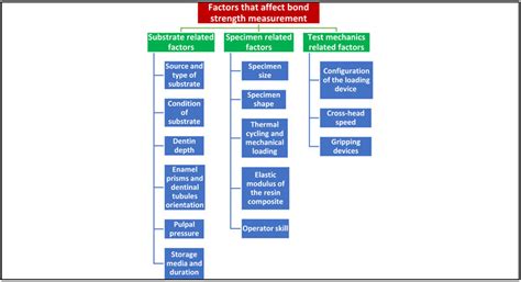 Factors that affect bond strength measurement. | Download Scientific ...