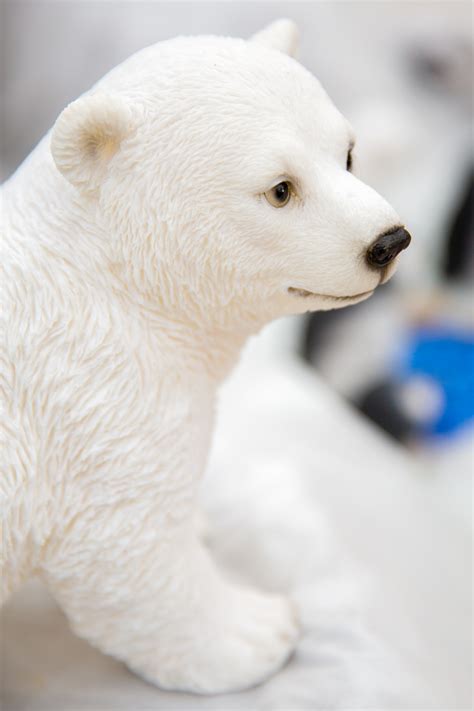 Polar Bear Decoration Free Stock Photo - Public Domain Pictures