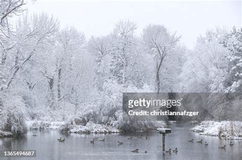 Fresh Snow On The Boise River In Boise Idaho High-Res Stock Photo ...