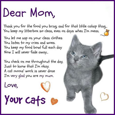 Made With 🧡 For Cats 🐱 on Instagram: “Happy Mother's Day, cat parents! 💞” | Cat poems, Cat ...