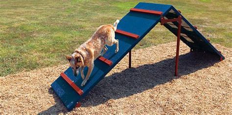 A-frame-dog-agility - PlexiDor Dog Doors