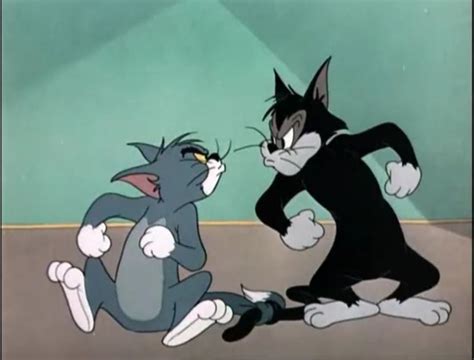 Tom and Jerry, brothers | Betty boop, Caricaturas, Infancia y adolescencia