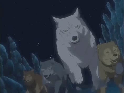 Pack Of Wolves Wolf GIF - PackOfWolves Wolf Run - Discover & Share GIFs