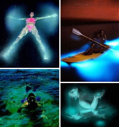 Natural Phenomenon Bioluminescent Bay at La Parguera on Vieques Island in Puerto Rico | Puerto ...