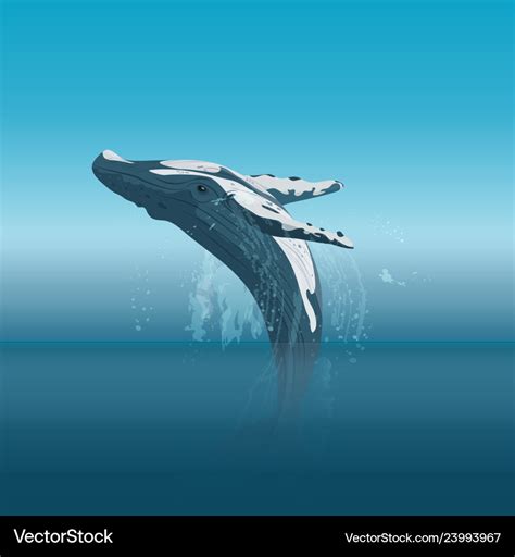 Jumping cartoon humpback whale in the ocean Vector Image