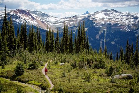 Whistler Blackcomb to re-open soon with focus on sightseeing, mountain biking - Vancouver Is Awesome