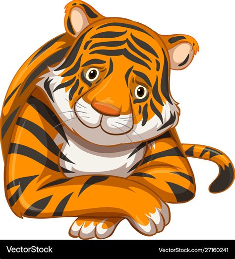 Sad tiger on white background Royalty Free Vector Image