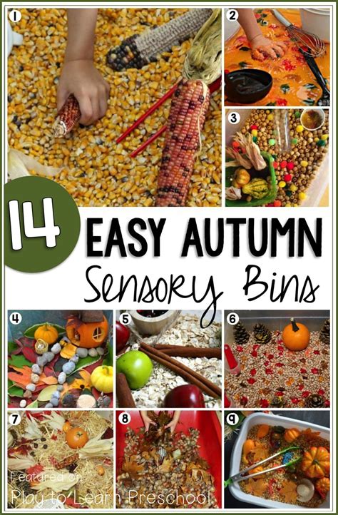 Irresistible Fall Sensory Bins for Preschoolers