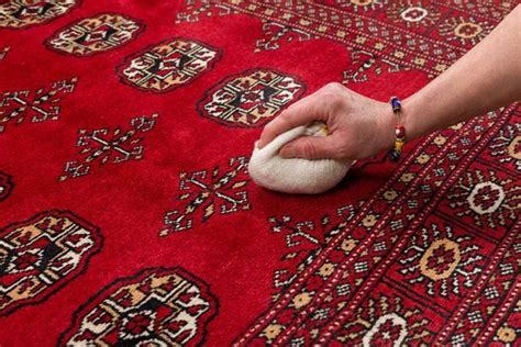 How To Remove Spots and Urine From Oriental, Wool and Silk Area Rugs ...