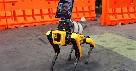 The Boston Dynamics Coronavirus Doctor Robot Dog Will See You Now | WIRED