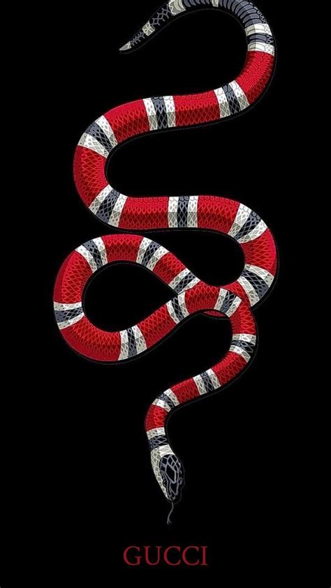 🔥 [20+] Gucci Snake Logo Wallpapers | WallpaperSafari