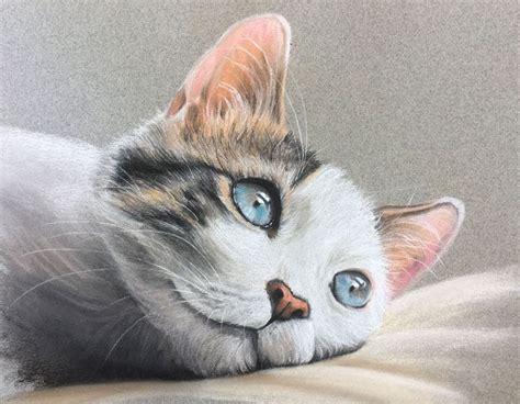 Pastel drawing of a cat | Cat drawing tutorial, Soft pastels drawing ...