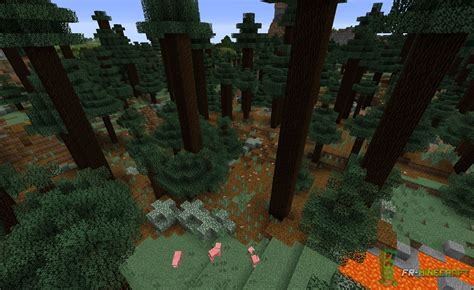 Taiga Biome Minecraft