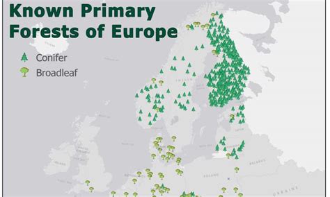 New map shows many old-growth forests remain in Europe