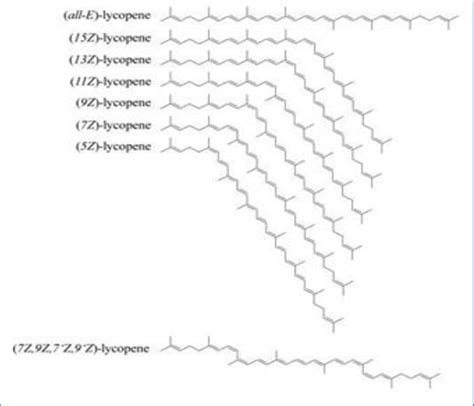 (all-E)-Isomer and some (Z)-isomers of lycopene. | Download Scientific ...