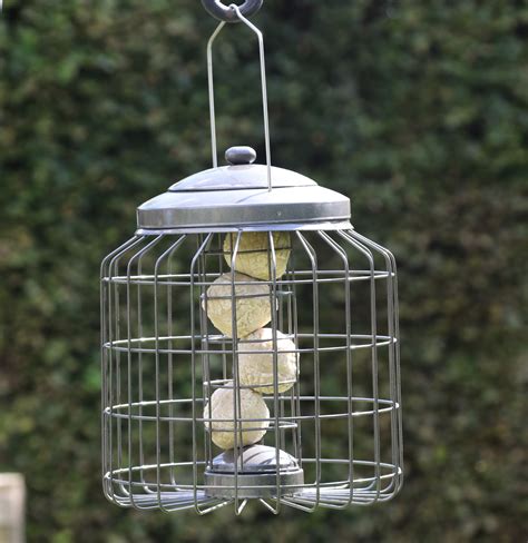 Heavy Duty, Squirrel-Proof Bird Feeder | Buy Online at Vine House Farm