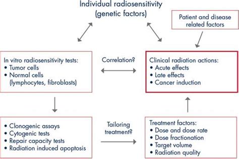 Radioiodine Therapy in Benign Thyroid Diseases: Effects, Side Effects ...