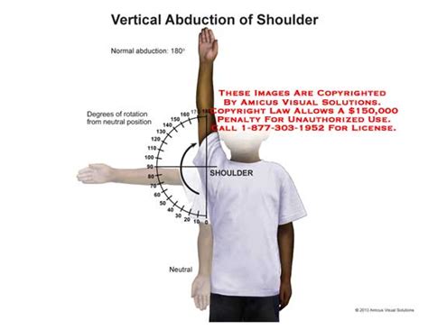 Vertical Adduction of Shoulder