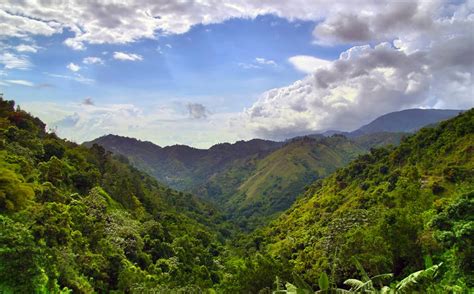 The Jamaica Blue Story | Jamaica Blue Cafés