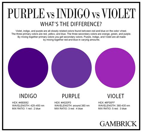 Violet Vs Indigo Vs Purple – Modern Design