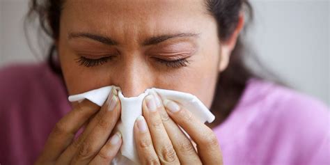 7 Crazy Things That Are Making You Sneeze All The Time | Homeopathic ...