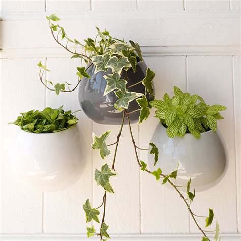 ceramic wall hanging plant pot by lilac coast | notonthehighstreet.com