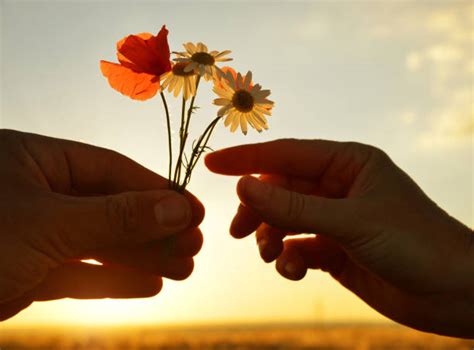 Best Giving Flower Stock Photos, Pictures & Royalty-Free Images - iStock