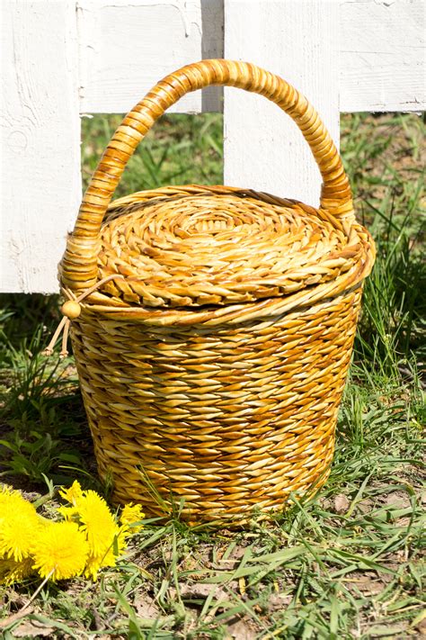 Jane Birkin wicker basket purse with lid Round wicker basket | Etsy