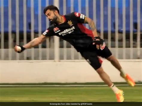 Virat Kohli Takes Diving Catch During Training Session, RCB In Awe. Watch | Cricket News