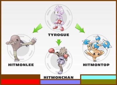 [Guide] How to Get the Tyrogue Evolution You Desire! – Miketendo64!