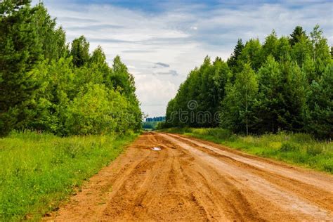 Dirt road in the forest stock photo. Image of landscape - 74592648