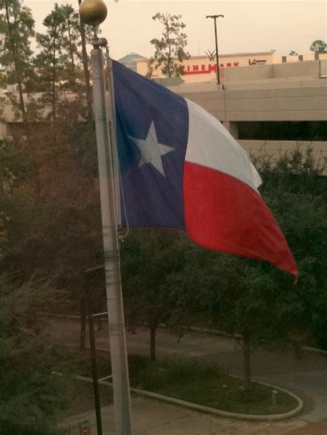 Texas Flag