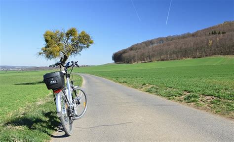 These six factors are the main causes of electric bicycle battery life loss - SmartPropel ...