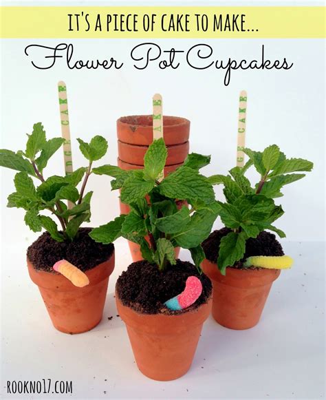 Bake-Ins: Cupcakes Baked in Terra Cotta Flower Pots