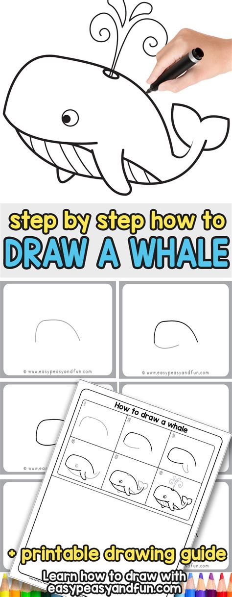 How to Draw a Whale Step by Step (cartoon style) - Easy Peasy and Fun