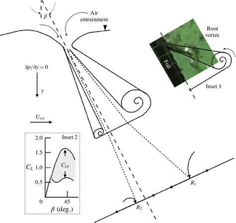 Modelling of the root vortex lift based on the analogy of delta wing... | Download Scientific ...