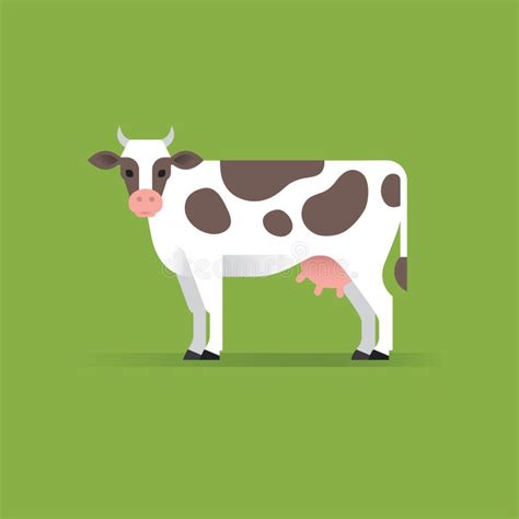 Vector cow illustration. stock vector. Illustration of cattle - 104707776