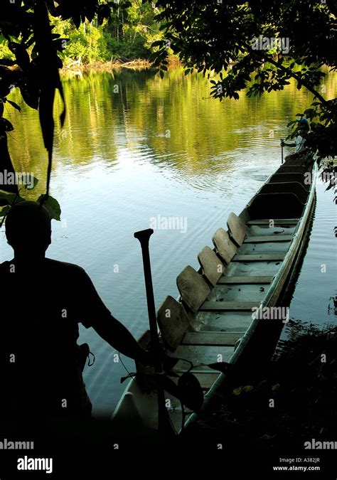 Amazon Rainforest Ecuador Stock Photo - Alamy