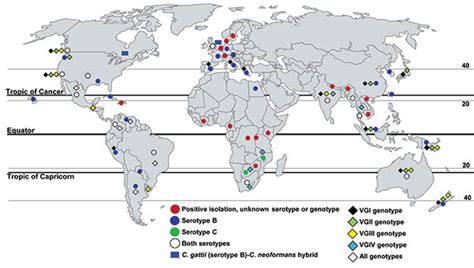 Figure - Projecting Global Occurrence of Cryptococcus gattii - Volume ...