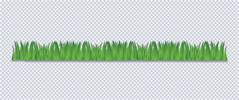 Grass Border Vector Illustration 2423955 Vector Art at Vecteezy