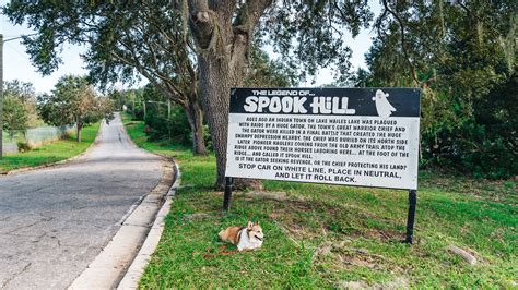 Get a Little Spooked at Spook Hill in Lake Wales, Florida - Travel Pockets