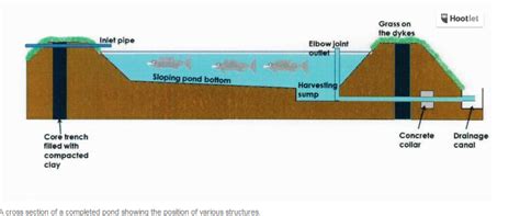 How to Construct a Semi-intensive Pond for Aquaculture | The Fish Site