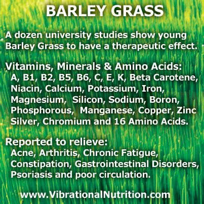 Barley Grass Benefits – Vibrational Greens