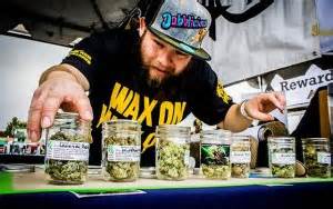 Cannabis Cup Winners 2016 - California Marijuana Market