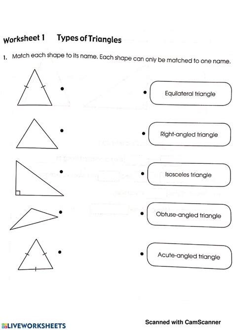 Worksheet Types Of Triangles