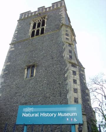 Colchester's Natural History Museum - 2021 All You Need to Know Before You Go (with Photos ...