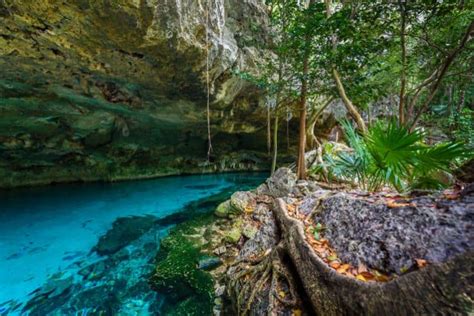 Visit the beautiful Cenote Dos Ojos Tulum (2022)