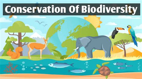 Biodiversity Conservation Importance And Conservation - vrogue.co