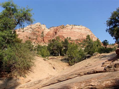 Hiking Southern Utah: Clear Creek Trail - The Independent | News Events Opinion More